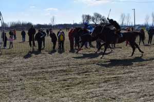 Održane konjičke trke i otvorena izložba sitnih životinja „Kikirez“ - Hit Radio Pozarevac, Branicevski okrug