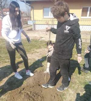 Sadnjom drveća učenici osmog razreda OŠ Sveti Sava obeležili Dan šuma - Hit Radio Pozarevac, Branicevski okrug