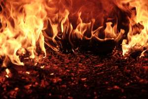 Apel građanima da ne spaljuju na otvorenom - Hit Radio Pozarevac, Branicevski okrug