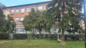 Osobe alergične na polen tuja, čempresa i jasena treba da se pridržavaju propisane terapije - Hit Radio Pozarevac, Branicevski okrug