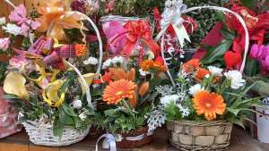 Počela prodaja osmomartovskog cveća u požarevačkom parku (FOTO) - Hit Radio Pozarevac, Branicevski okrug