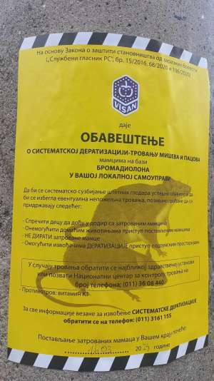 U toku je sistematska deratizacija u Požarevcu - Hit Radio Pozarevac, Branicevski okrug