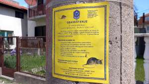 Deratizacija u Požarevcu od 1. do 15. aprila - Hit Radio Pozarevac, Branicevski okrug
