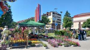 Otvoren Festival cveća u Požarevcu (FOTO) - Hit Radio Pozarevac, Branicevski okrug
