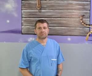 Vrućina, paraziti i bolesti – veterinar Marko Joksimović savetuje kako zaštititi pse - Hit Radio Pozarevac, Branicevski okrug