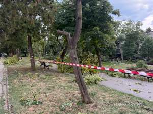 Gradonačelnik Pavlović: Sve službe na terenu, sanacija štete nakon nevremena u toku - Hit Radio Pozarevac, Branicevski okrug