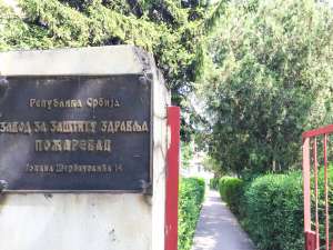 ZZJZ Požarevac: Sporadična javljanja kovida-19 - Hit Radio Pozarevac, Branicevski okrug