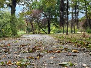 Pretežno sunčano vreme, u Požarevcu danas do 15°C - Hit Radio Pozarevac, Branicevski okrug