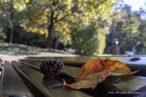 Vetrovito i toplo danas, a noć donosi zahlađenje - Hit Radio Pozarevac, Branicevski okrug