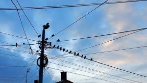 Sutra radovi na elektroenergetskoj mreži - Hit Radio Pozarevac, Branicevski okrug