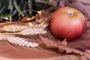 Danas je Tucindan - Hit Radio Pozarevac, Branicevski okrug