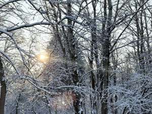 Mraz i niske temperature i danas širom zemlje - Hit Radio Pozarevac, Branicevski okrug