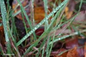 Vikend donosi pad temperature, uz povremene padavine širom zemlje - Hit Radio Pozarevac, Branicevski okrug
