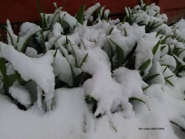 Posle jutarnjeg mraza dan topliji