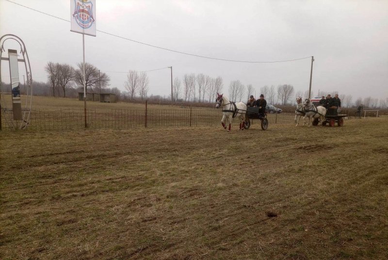 Konjičke trke i izložba sitnih životinja „Kikirez“ u Kasidolu