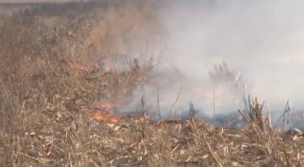 Povećan broj požara na otvorenom, ne palite vatru