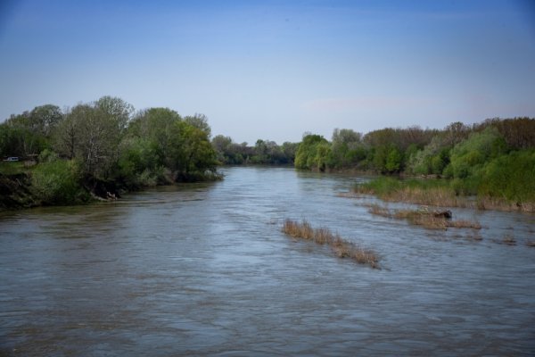 Telo muškarca pronađeno u Velikoj Moravi kod Požarevca